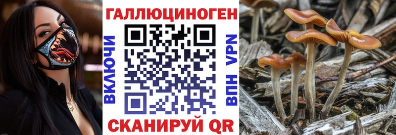 Галлюциногенные грибы мицелий  Кемь 
